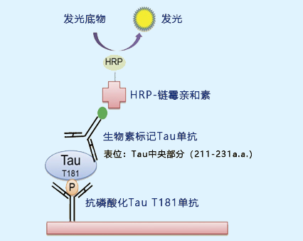 1732699699850573.png ae24e8134a9847f6f0b7ee4b59e64ee3.png