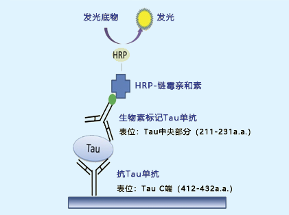 1732699781829598.png 445189d8c5b1371aa002390df8f708f4.png